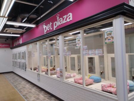 真美ケ丘店