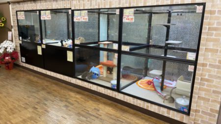 宇部店