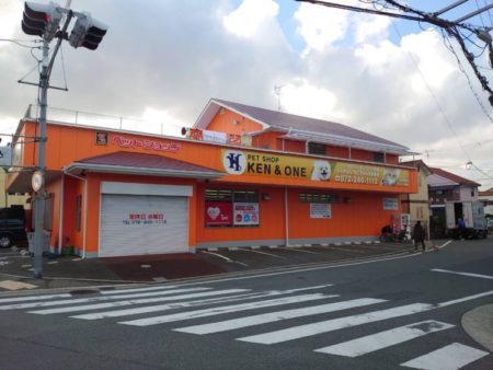 金岡本店