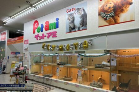 音更店