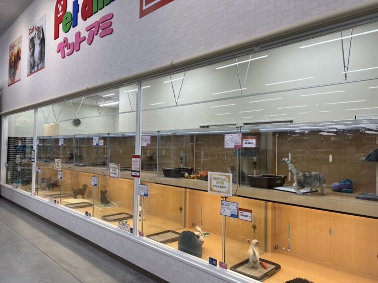 ケンアンドワン 白山店