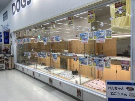 真備店