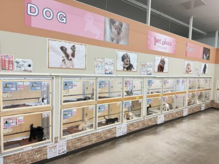 廿日市陽光台店