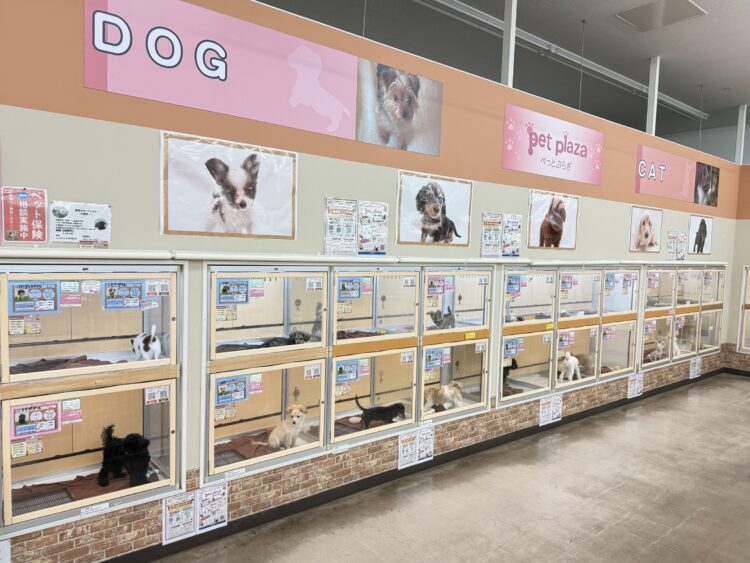 ケンアンドワン 廿日市陽光台店