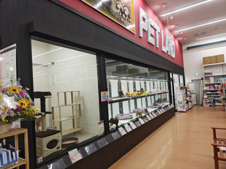 ケンアンドワン 倉敷中島店