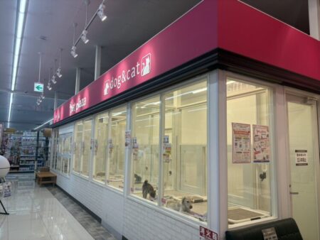 そよら西伊場店