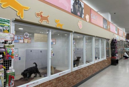 関目店
