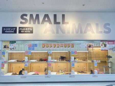 うきは店