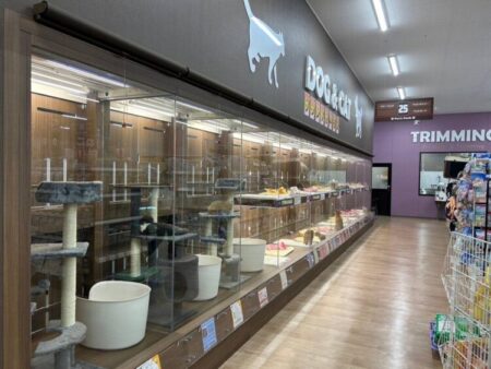山口店