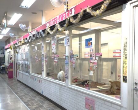 ライフ門真店