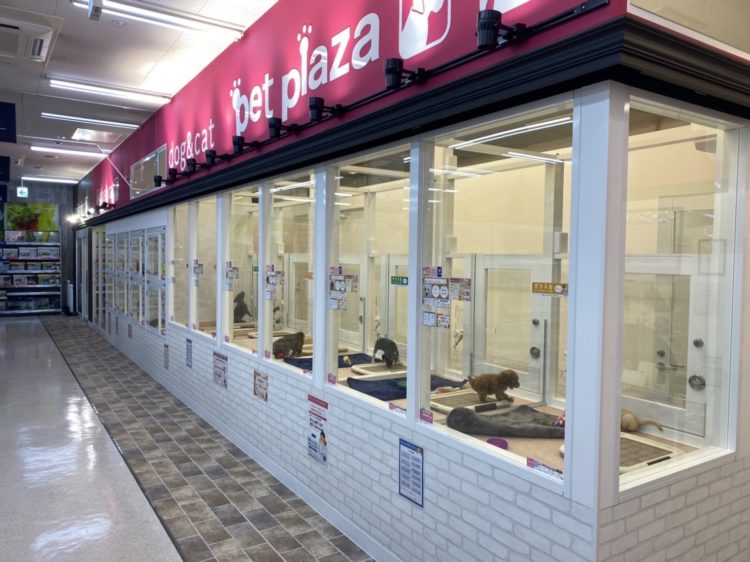 ケンアンドワン 西野山店