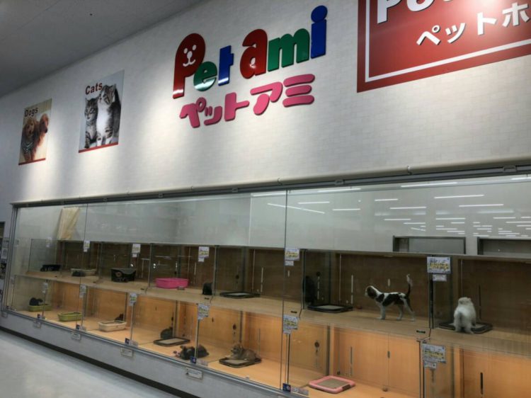 ケンアンドワン 栗東店