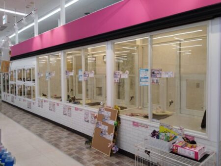 堺三国ケ丘店