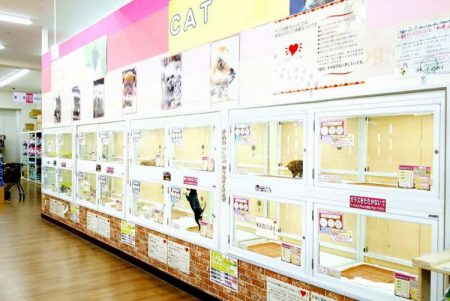 兵庫松原通店