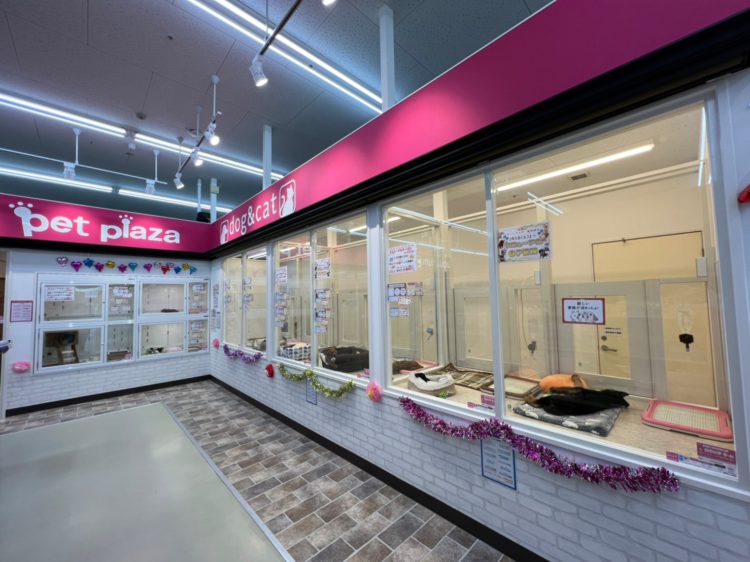 ケンアンドワン 亀岡篠店