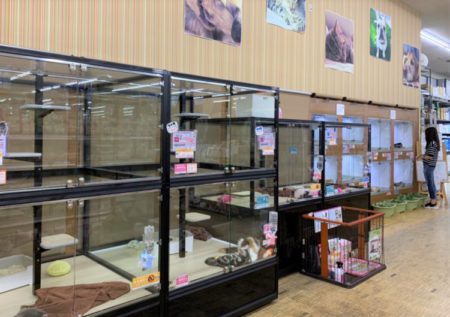 津高店