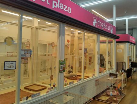 大野芝店
