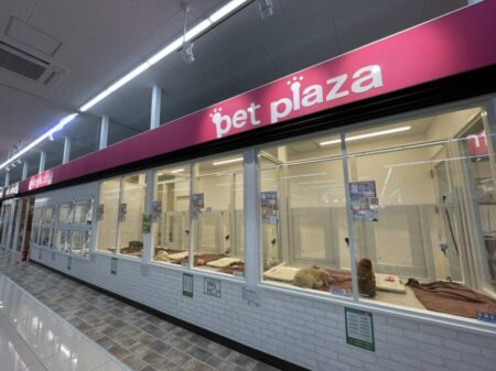 外環八尾山本店