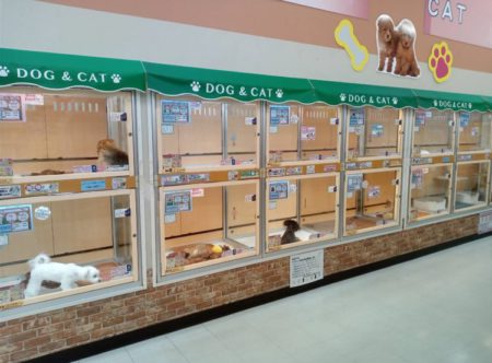 羽曳野伊賀店