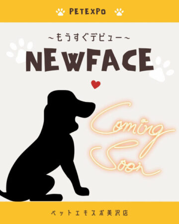 譲渡ワンちゃん
