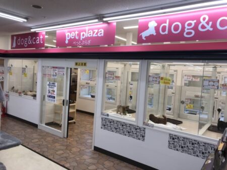 ベルマージュ堺店