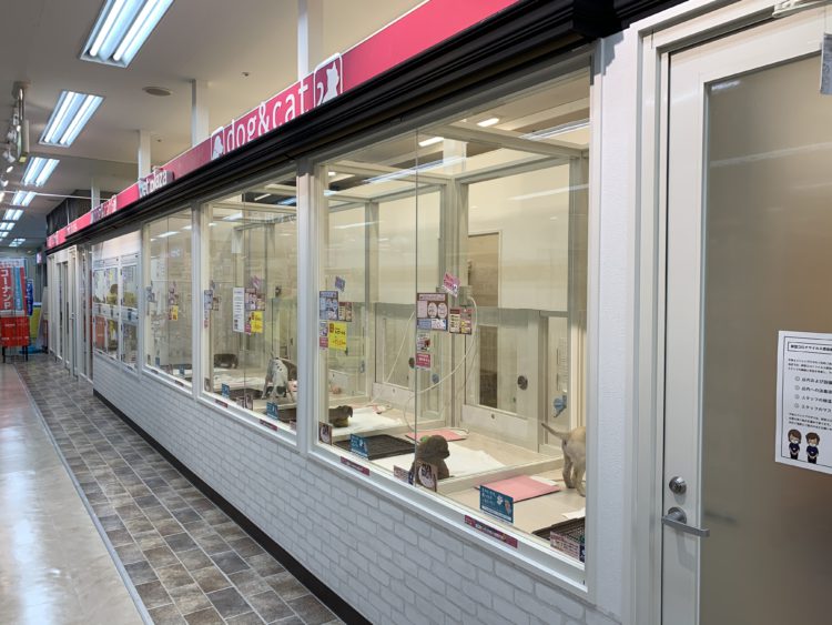 ケンアンドワン ライフ門真店