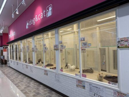 日根野店