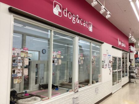 国立店