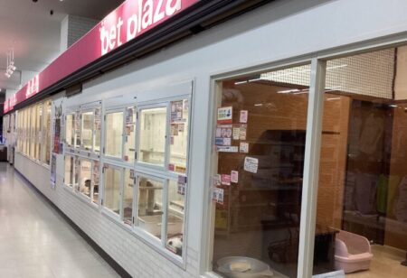関目店