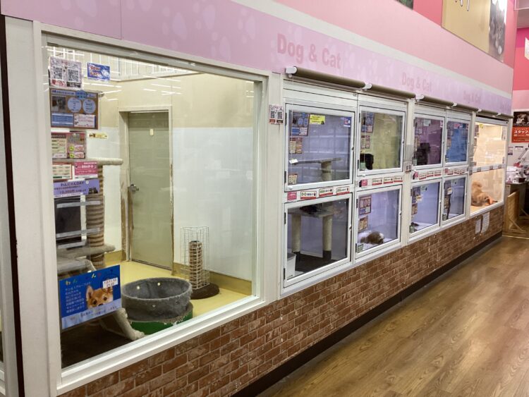 ケンアンドワン 西大寺店