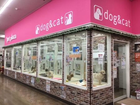 堺高須店