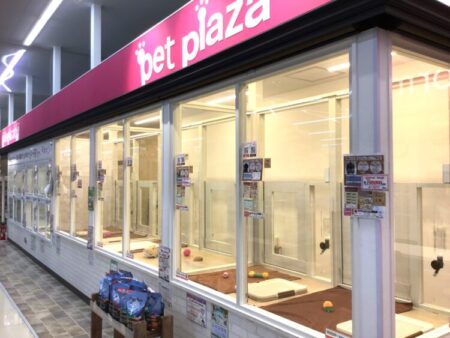 外環八尾山本店