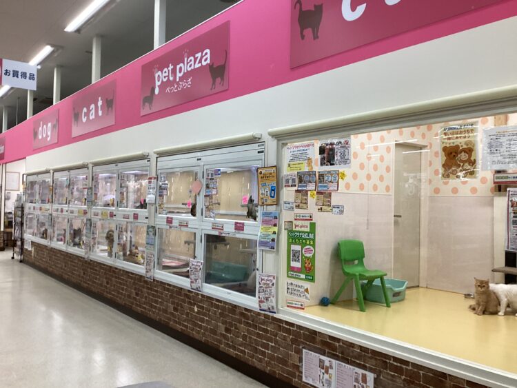 ケンアンドワン 春日井篠木店