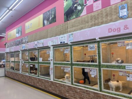 福知山店