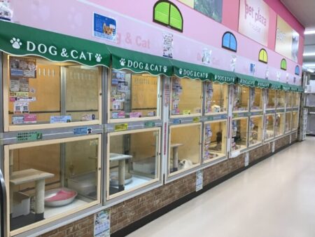堺店