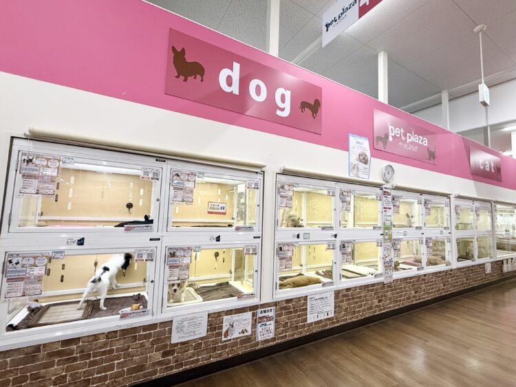 ケンアンドワン 第二阪和鳳店