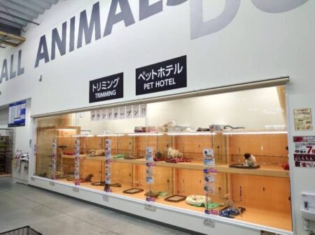 薩摩川内店