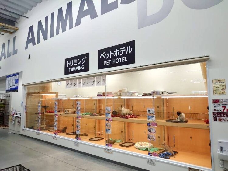 ケンアンドワン 薩摩川内店