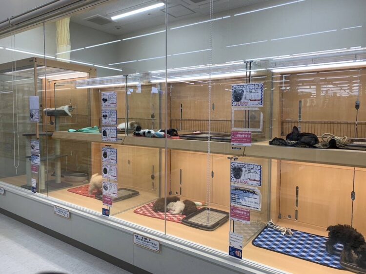 ケンアンドワン 日向店