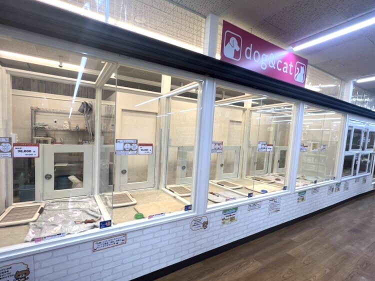 ケンアンドワン イズミヤ小林店