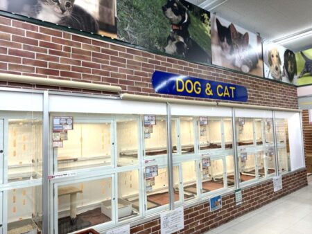 東大阪菱江店