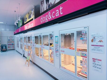 りんくう羽倉崎店