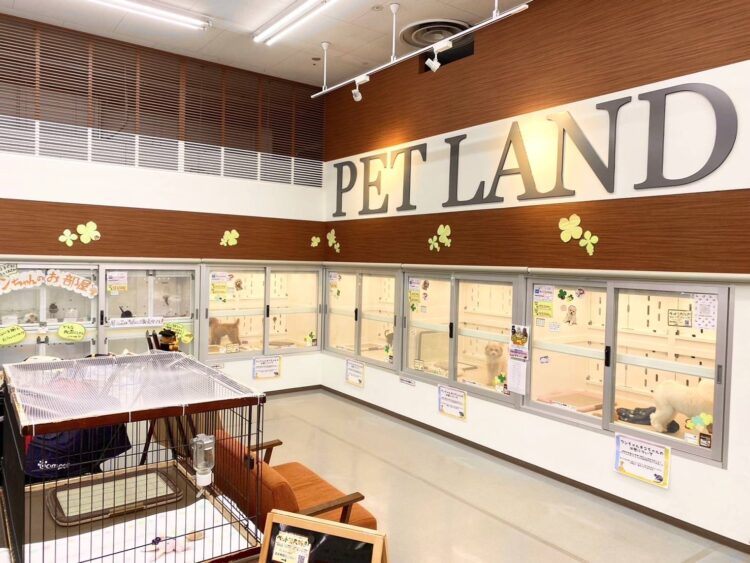 ケンアンドワン 桂店