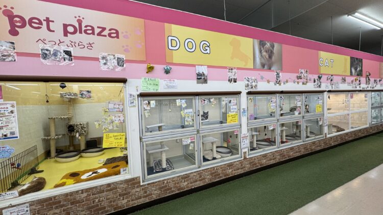 ケンアンドワン 小束山店