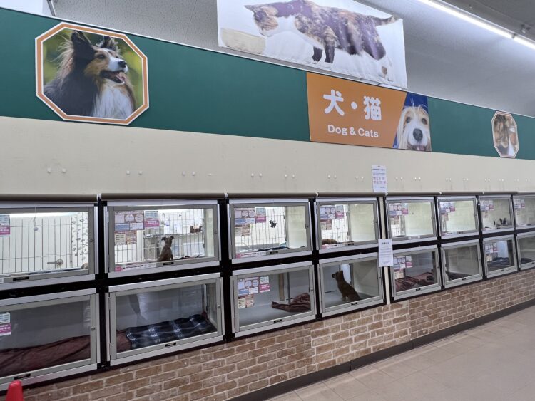 ケンアンドワン 福山神辺店