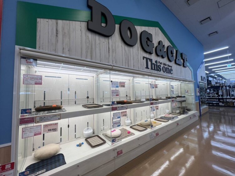 ケンアンドワン 萩店