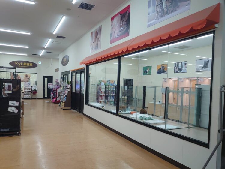 ケンアンドワン DCM恵庭店