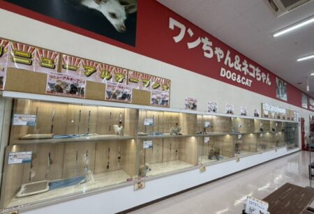 瀬田店