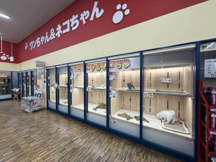 ケンアンドワン 吉祥院八条店