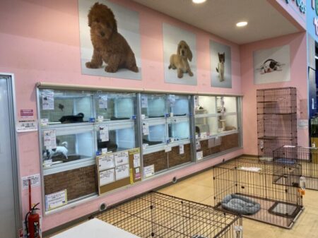 西条店